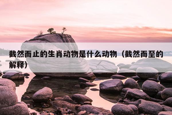 截然而止的生肖动物是什么动物（截然而至的解释）