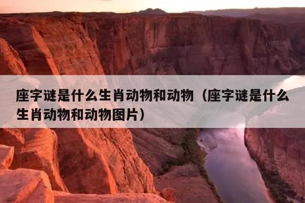 座字谜是什么生肖动物和动物（座字谜是什么生肖动物和动物图片）