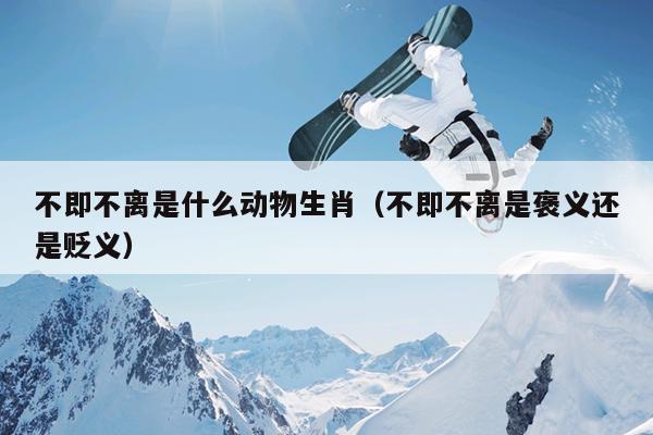 不即不离是什么动物生肖（不即不离是褒义还是贬义）
