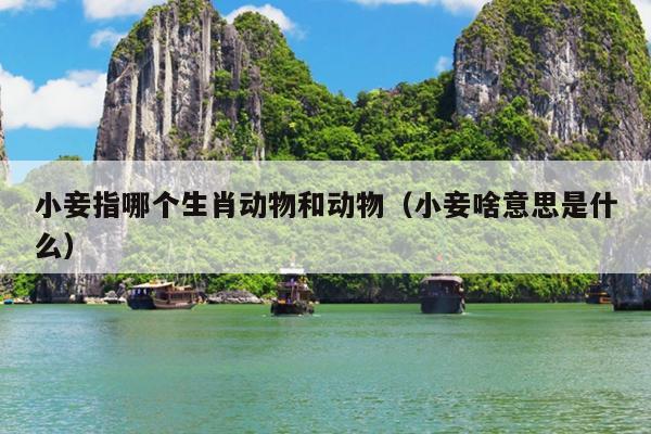 小妾指哪个生肖动物和动物（小妾啥意思是什么）