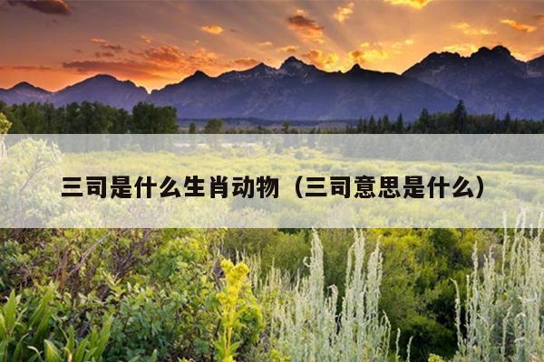 三司是什么生肖动物（三司意思是什么）