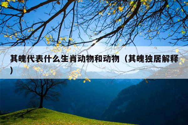 其魄代表什么生肖动物和动物（其魄独居解释）