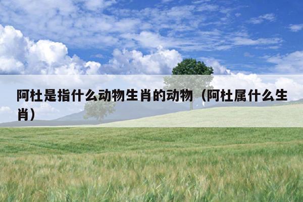 阿杜是指什么动物生肖的动物（阿杜属什么生肖）