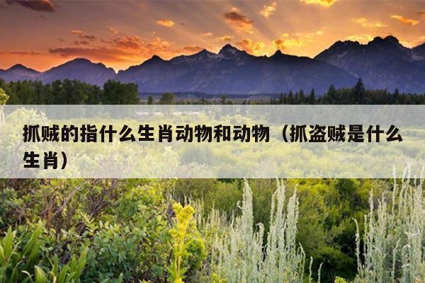抓贼的指什么生肖动物和动物（抓盗贼是什么生肖）