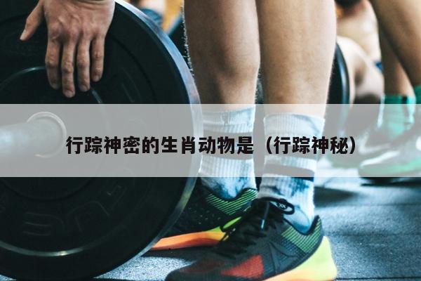 行踪神密的生肖动物是（行踪神秘）