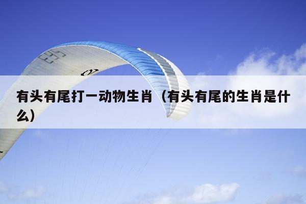 有头有尾打一动物生肖（有头有尾的生肖是什么）