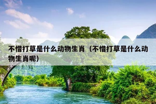 不惜打草是什么动物生肖（不惜打草是什么动物生肖呢）