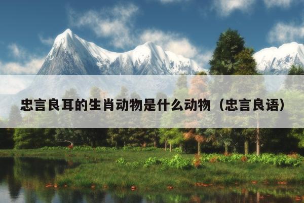 忠言良耳的生肖动物是什么动物（忠言良语）