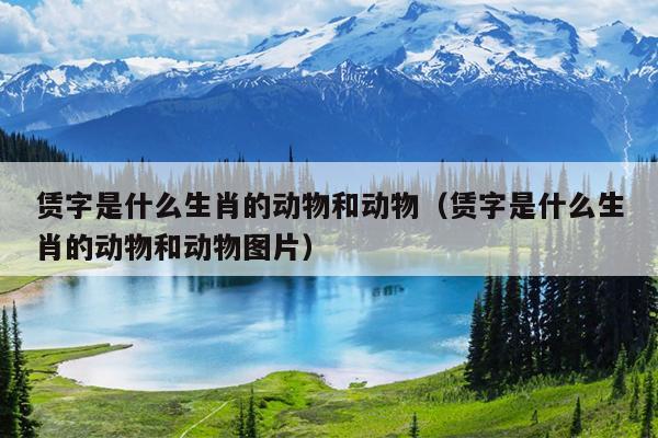 赁字是什么生肖的动物和动物（赁字是什么生肖的动物和动物图片）