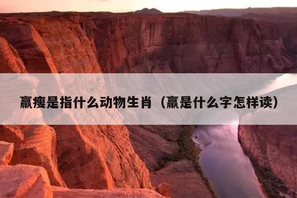 羸瘦是指什么动物生肖（羸是什么字怎样读）