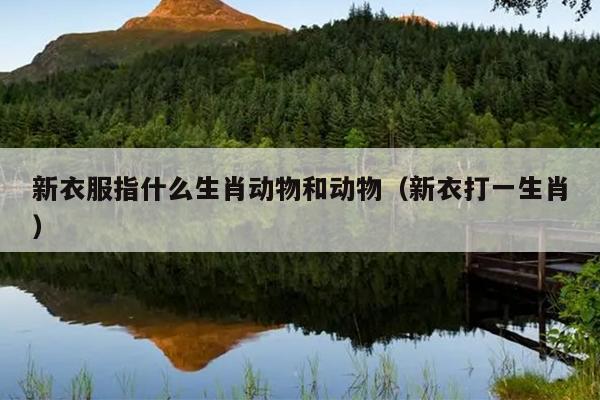 新衣服指什么生肖动物和动物（新衣打一生肖）