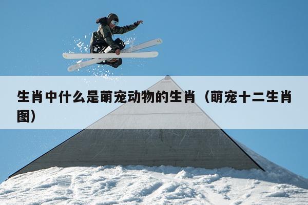 生肖中什么是萌宠动物的生肖（萌宠十二生肖图）