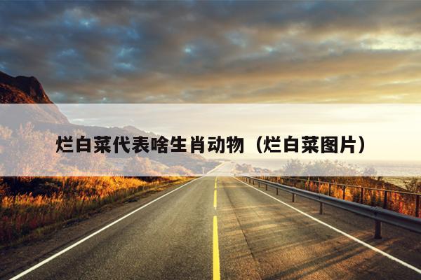 烂白菜代表啥生肖动物（烂白菜图片）