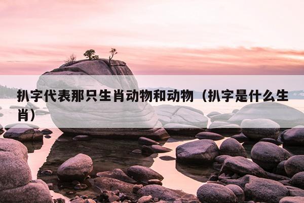 扒字代表那只生肖动物和动物（扒字是什么生肖）