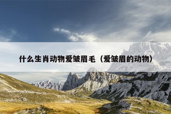 什么生肖动物爱皱眉毛（爱皱眉的动物）