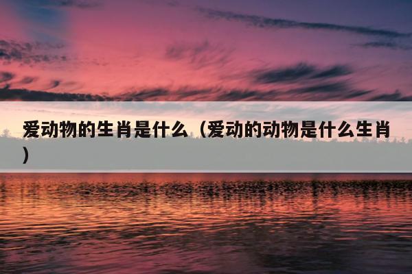 爱动物的生肖是什么（爱动的动物是什么生肖）
