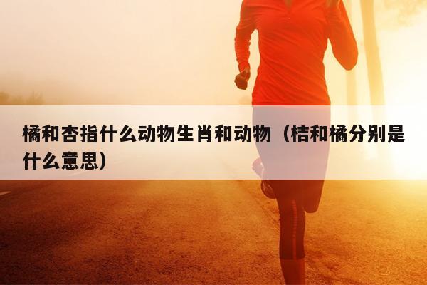 橘和杏指什么动物生肖和动物（桔和橘分别是什么意思）