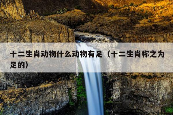 十二生肖动物什么动物有足（十二生肖称之为足的）