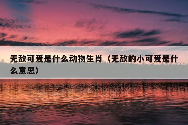 无敌可爱是什么动物生肖（无敌的小可爱是什么意思）