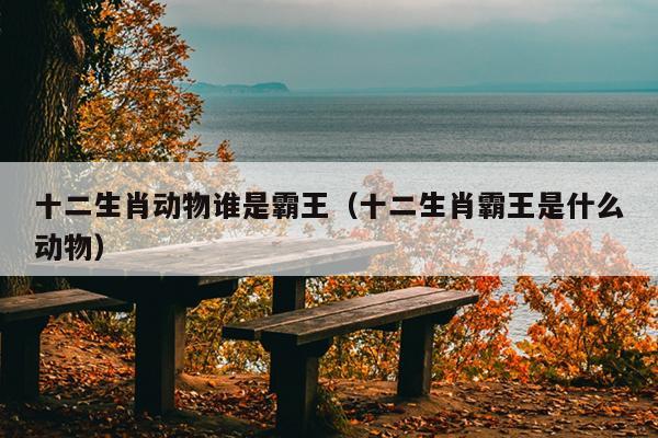 十二生肖动物谁是霸王（十二生肖霸王是什么动物）