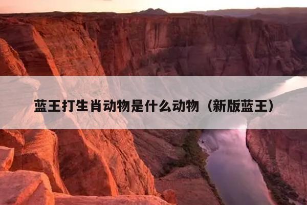 蓝王打生肖动物是什么动物（新版蓝王）