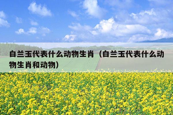 白兰玉代表什么动物生肖（白兰玉代表什么动物生肖和动物）