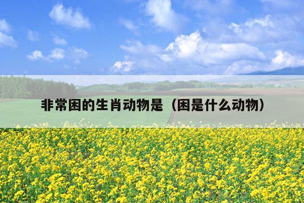 非常困的生肖动物是（困是什么动物）