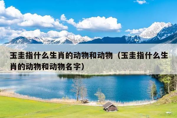 玉圭指什么生肖的动物和动物（玉圭指什么生肖的动物和动物名字）