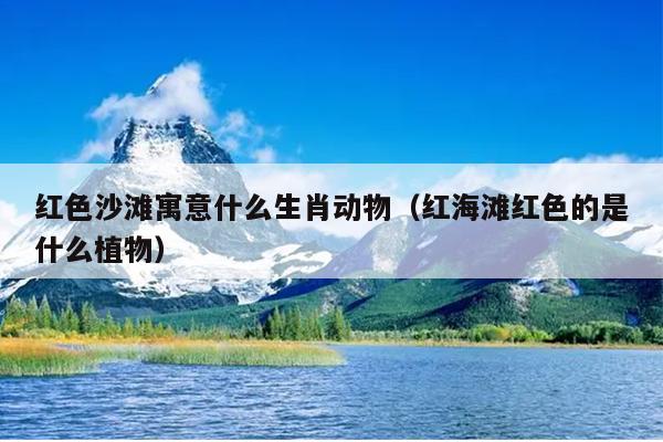 红色沙滩寓意什么生肖动物（红海滩红色的是什么植物）