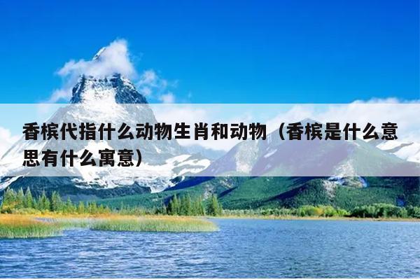 香槟代指什么动物生肖和动物（香槟是什么意思有什么寓意）