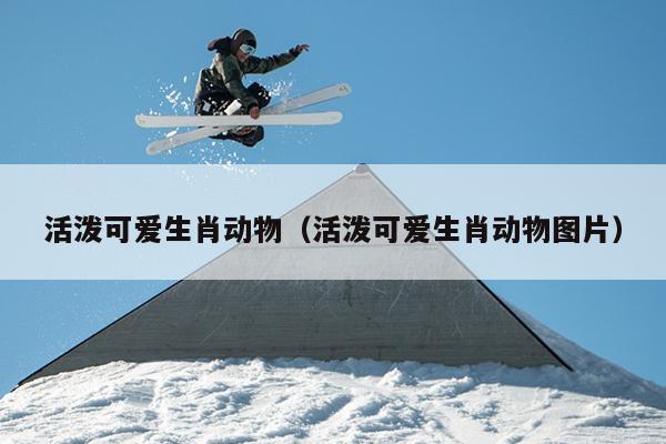 活泼可爱生肖动物（活泼可爱生肖动物图片）