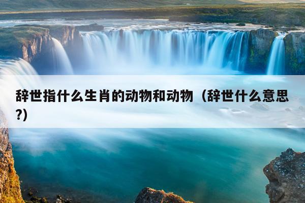 辞世指什么生肖的动物和动物（辞世什么意思?）
