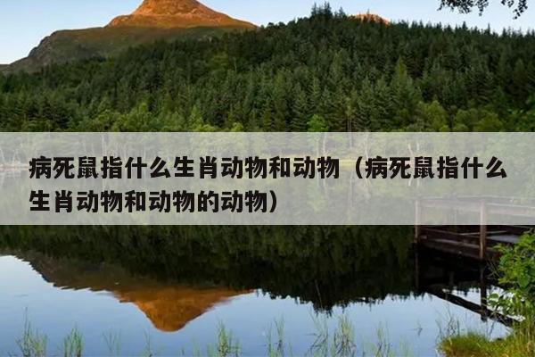 病死鼠指什么生肖动物和动物（病死鼠指什么生肖动物和动物的动物）
