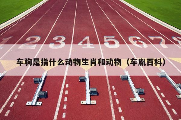 车驹是指什么动物生肖和动物（车胤百科）