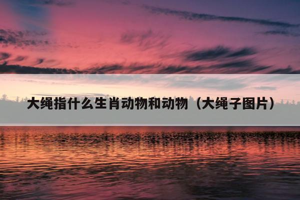 大绳指什么生肖动物和动物（大绳子图片）