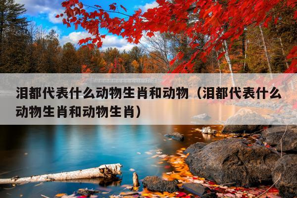 泪都代表什么动物生肖和动物（泪都代表什么动物生肖和动物生肖）