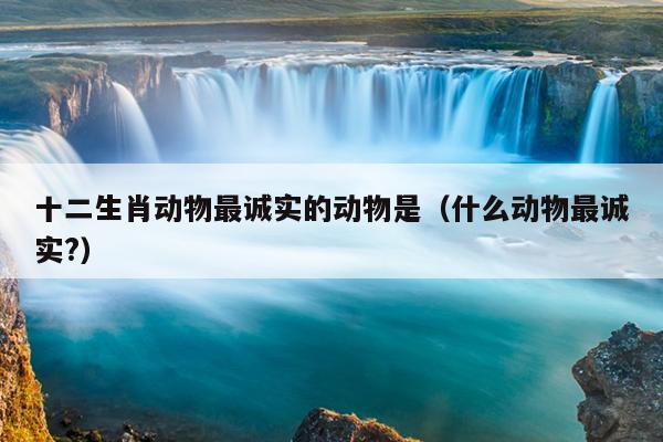十二生肖动物最诚实的动物是（什么动物最诚实?）