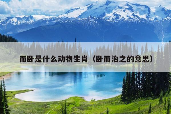 而卧是什么动物生肖（卧而治之的意思）