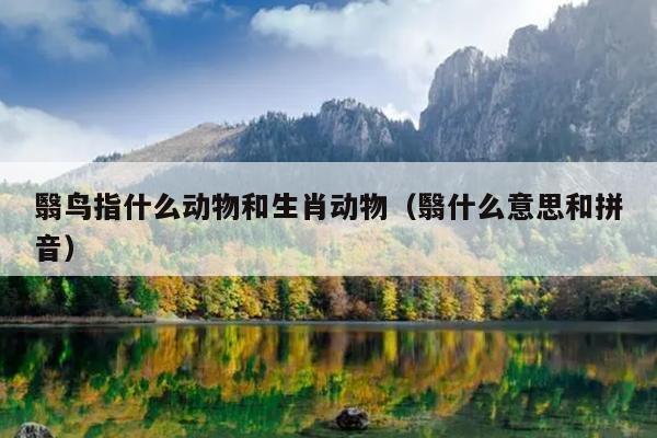 翳鸟指什么动物和生肖动物（翳什么意思和拼音）
