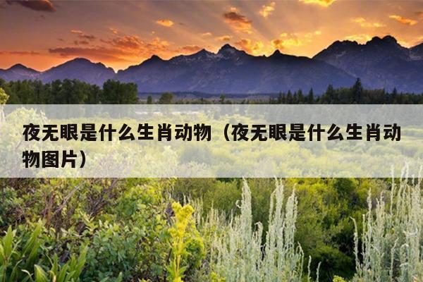夜无眼是什么生肖动物（夜无眼是什么生肖动物图片）
