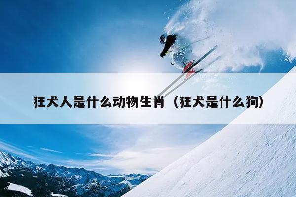 狂犬人是什么动物生肖（狂犬是什么狗）