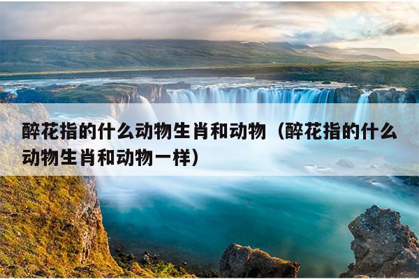 醉花指的什么动物生肖和动物（醉花指的什么动物生肖和动物一样）