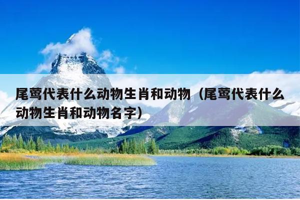尾莺代表什么动物生肖和动物（尾莺代表什么动物生肖和动物名字）