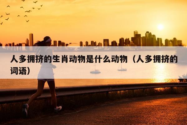 人多拥挤的生肖动物是什么动物（人多拥挤的词语）
