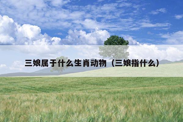 三娘属于什么生肖动物（三娘指什么）