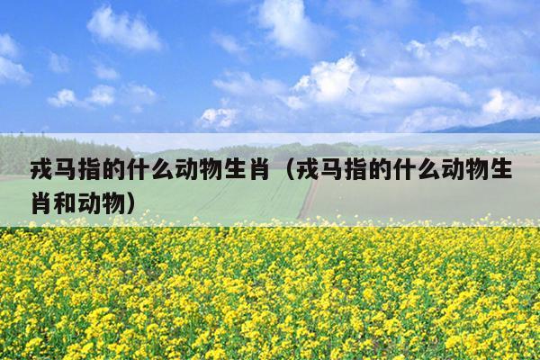 戎马指的什么动物生肖（戎马指的什么动物生肖和动物）