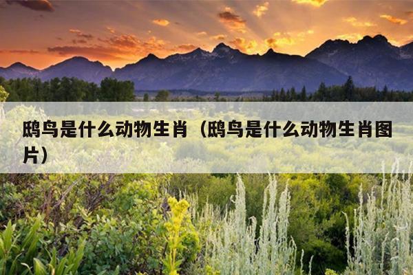 鸱鸟是什么动物生肖（鸱鸟是什么动物生肖图片）