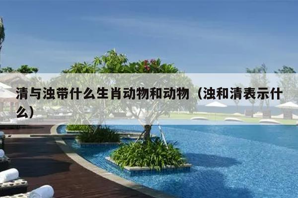 清与浊带什么生肖动物和动物（浊和清表示什么）