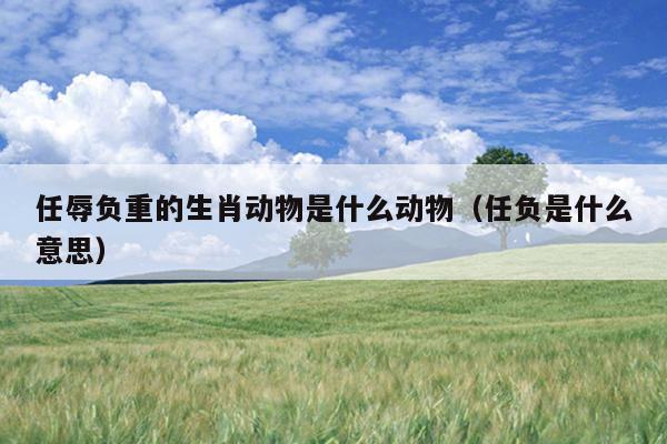 任辱负重的生肖动物是什么动物（任负是什么意思）