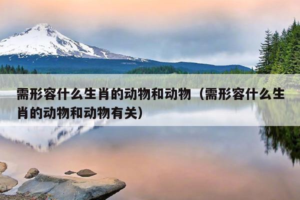 需形容什么生肖的动物和动物（需形容什么生肖的动物和动物有关）